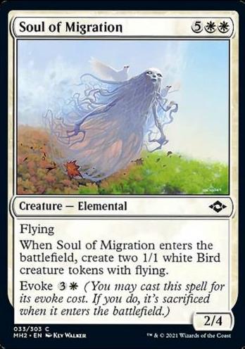 Soul of Migration (Seele der Vogelwanderung)